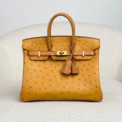 Hermès Natural Sable and Terre Cuite Birkin 25 Ostrich Brushed Gold Hardware HSS