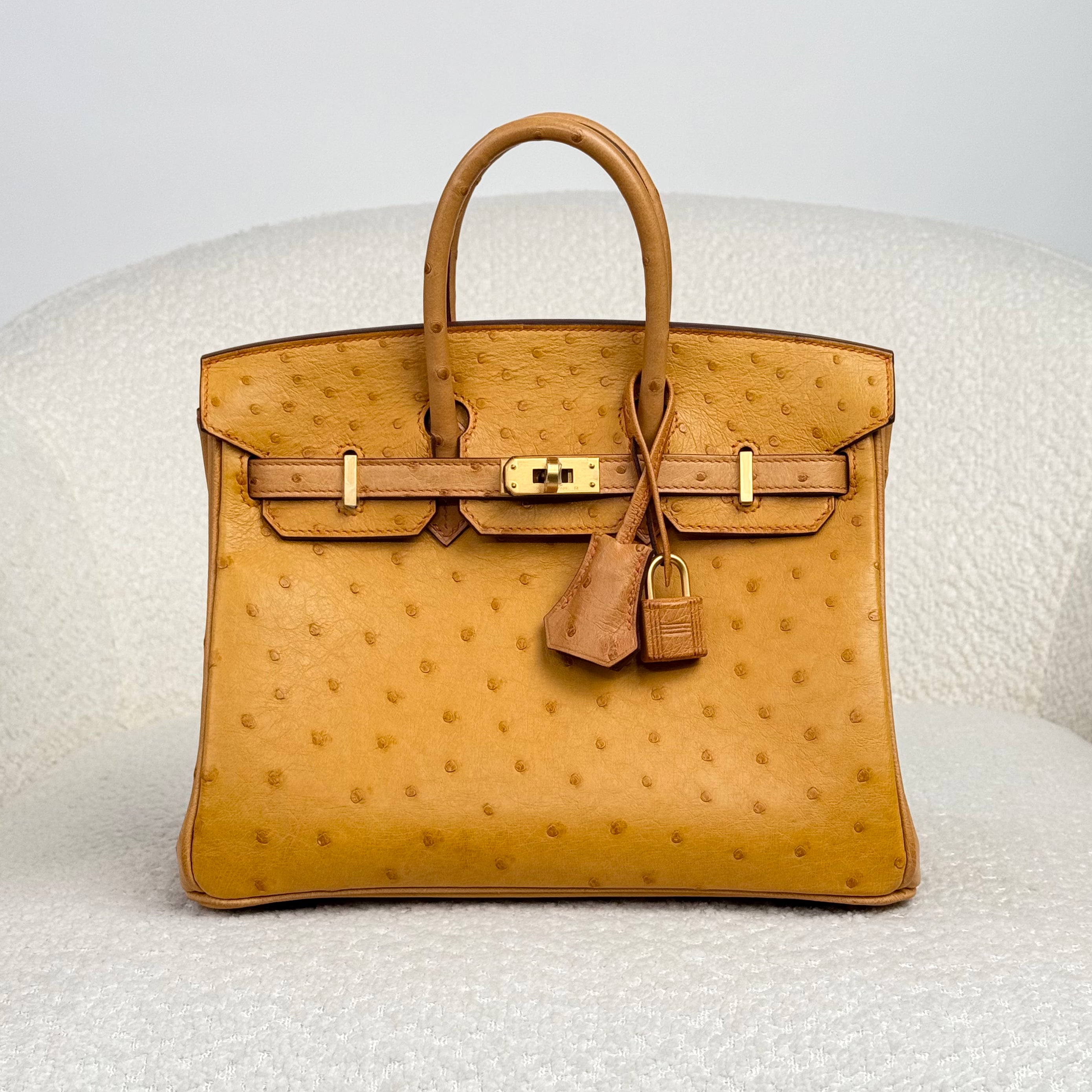 hermes-natural-sable-and-terre-cuite-birkin-25-ostrich-brushed-gold-hardware-hss-hermes-1246315631.heic