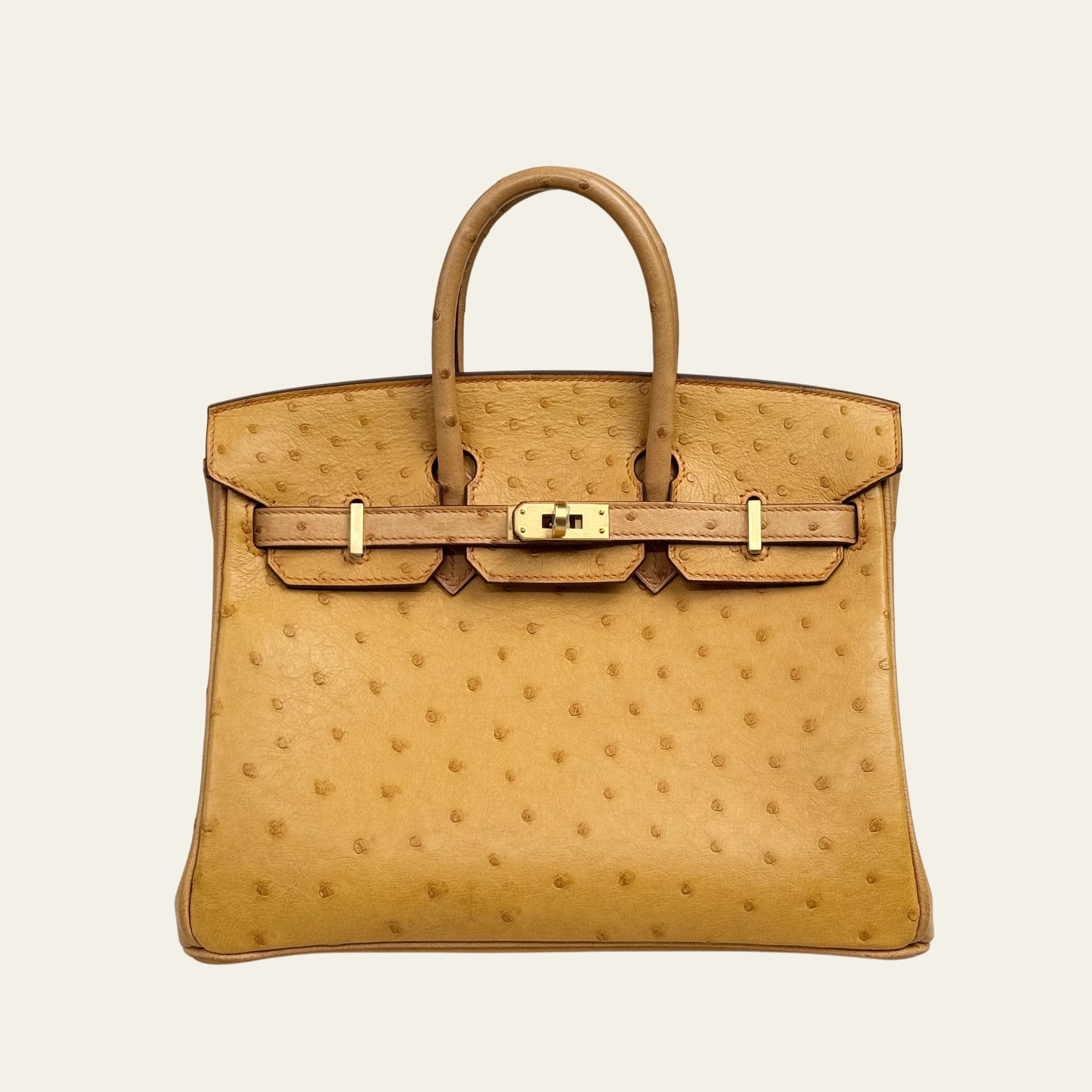 hermes-natural-sable-and-terre-cuite-birkin-25-ostrich-brushed-gold-hardware-hss-hermes-1246315632.jpg