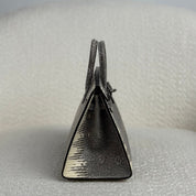 Hermès Ombré Birkin Sellier 20 Varanus Salvator Lizard Palladium Hardware