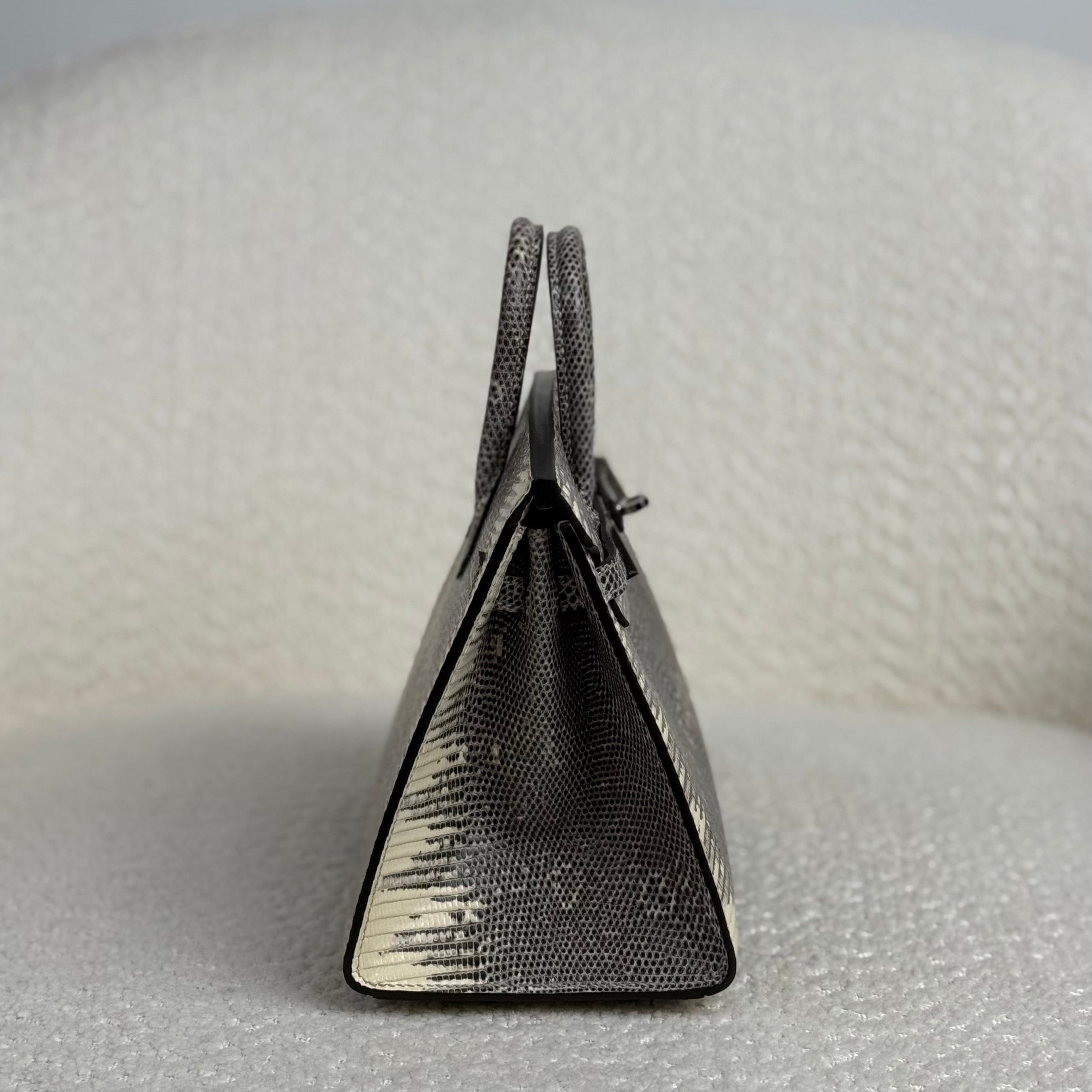 Hermès Ombré Birkin Sellier 20 Varanus Salvator Lizard Palladium Hardware