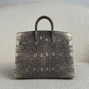 Hermès Ombré Birkin Sellier 20 Varanus Salvator Lizard Palladium Hardware