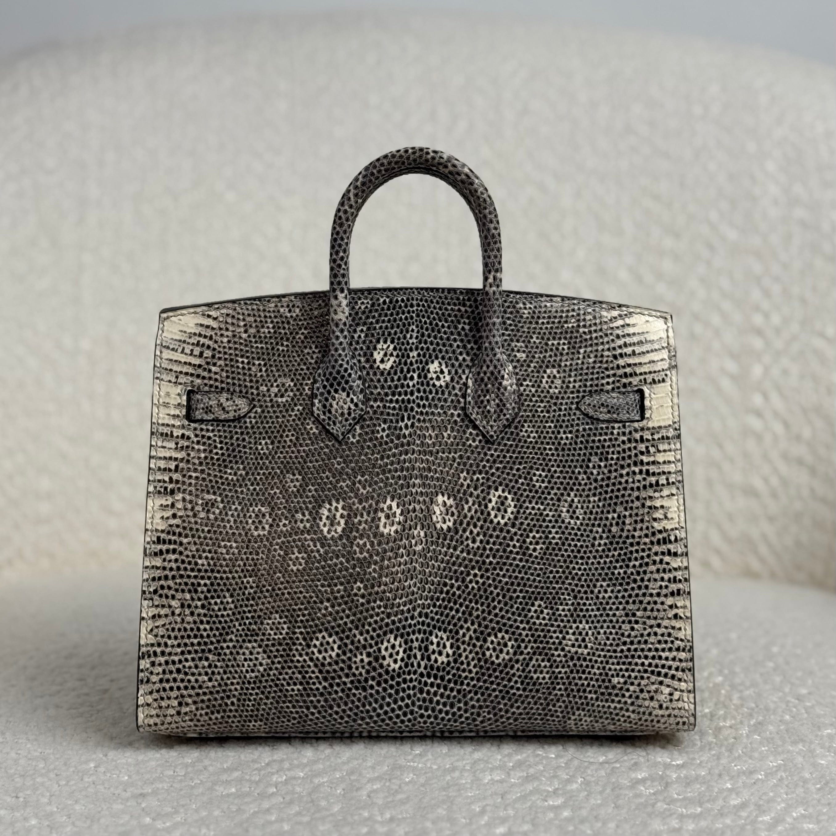 Hermès Ombré Birkin Sellier 20 Varanus Salvator Lizard Palladium Hardware