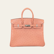 Hermès Terre Cuite Birkin 25 Ostrich Palladium Hardware