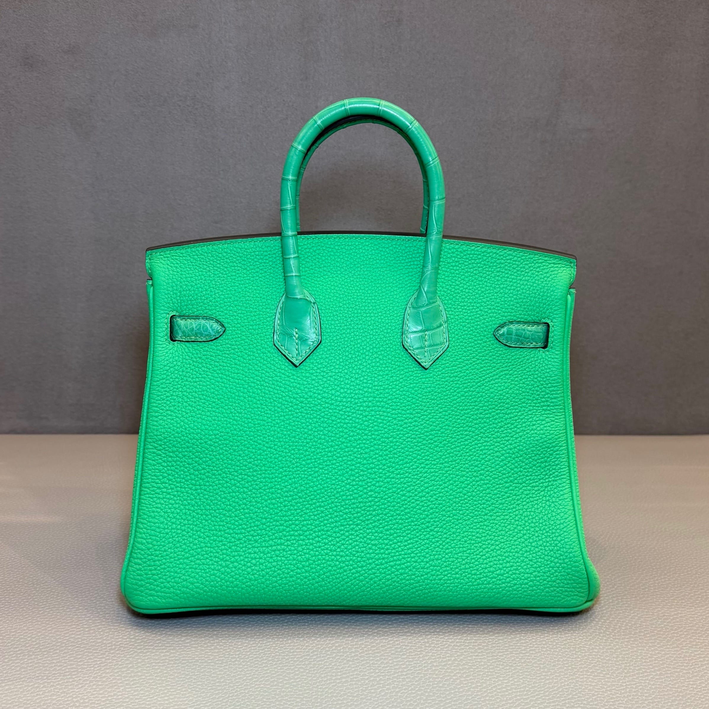 Hermès Vert Comics Birkin 25 Togo Matte Alligator Touch Palladium Hardware