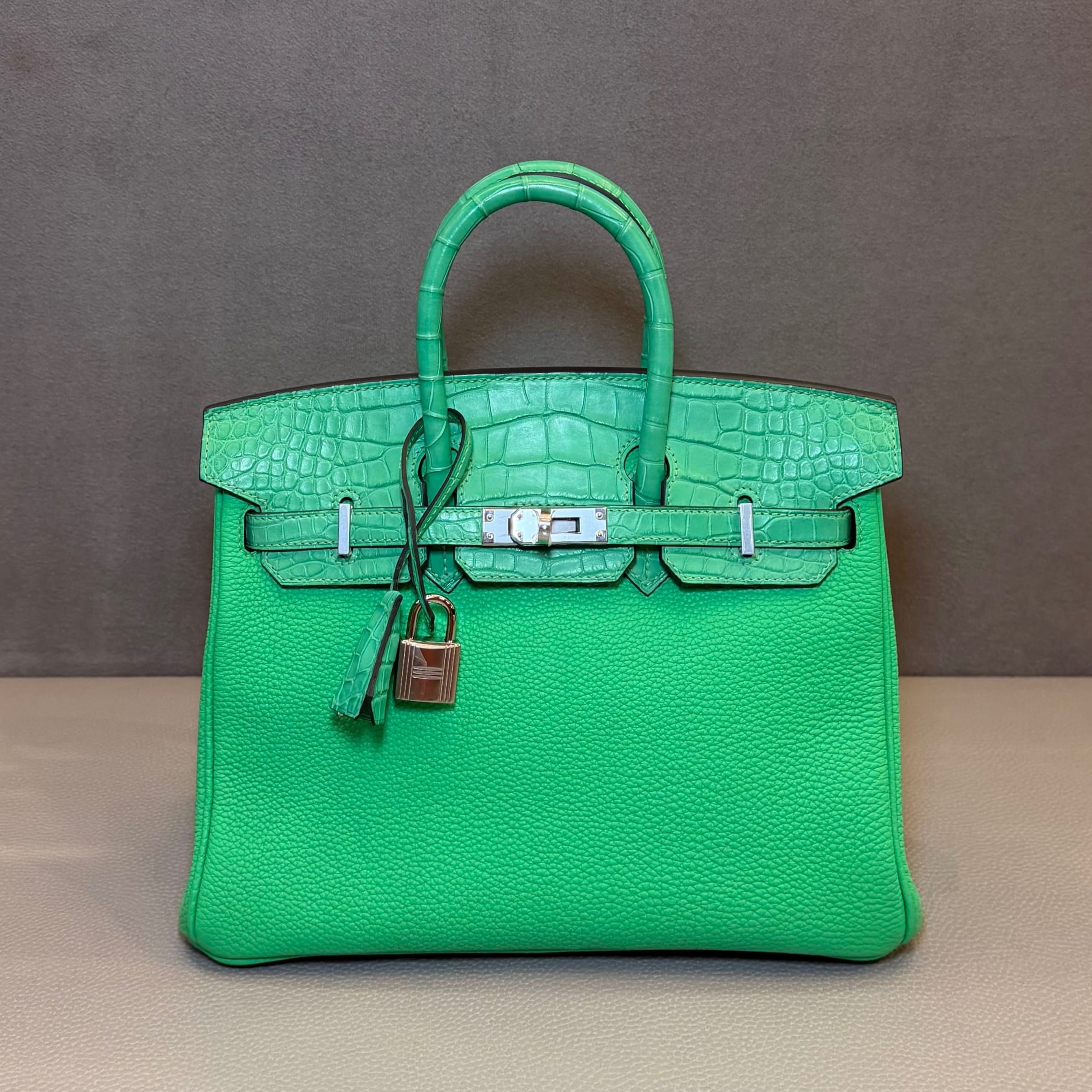 Hermès Vert Comics Birkin 25 Togo Matte Alligator Touch Palladium Hardware