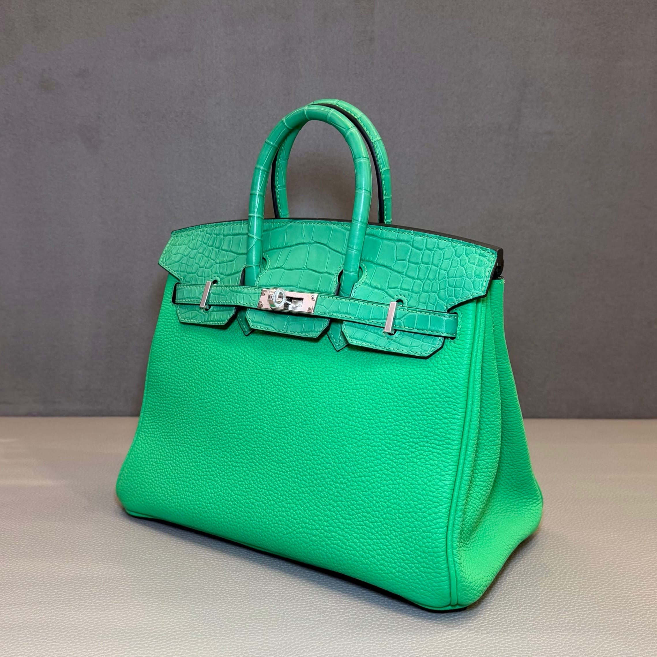 Hermès Vert Comics Birkin 25 Togo Matte Alligator Touch Palladium Hardware