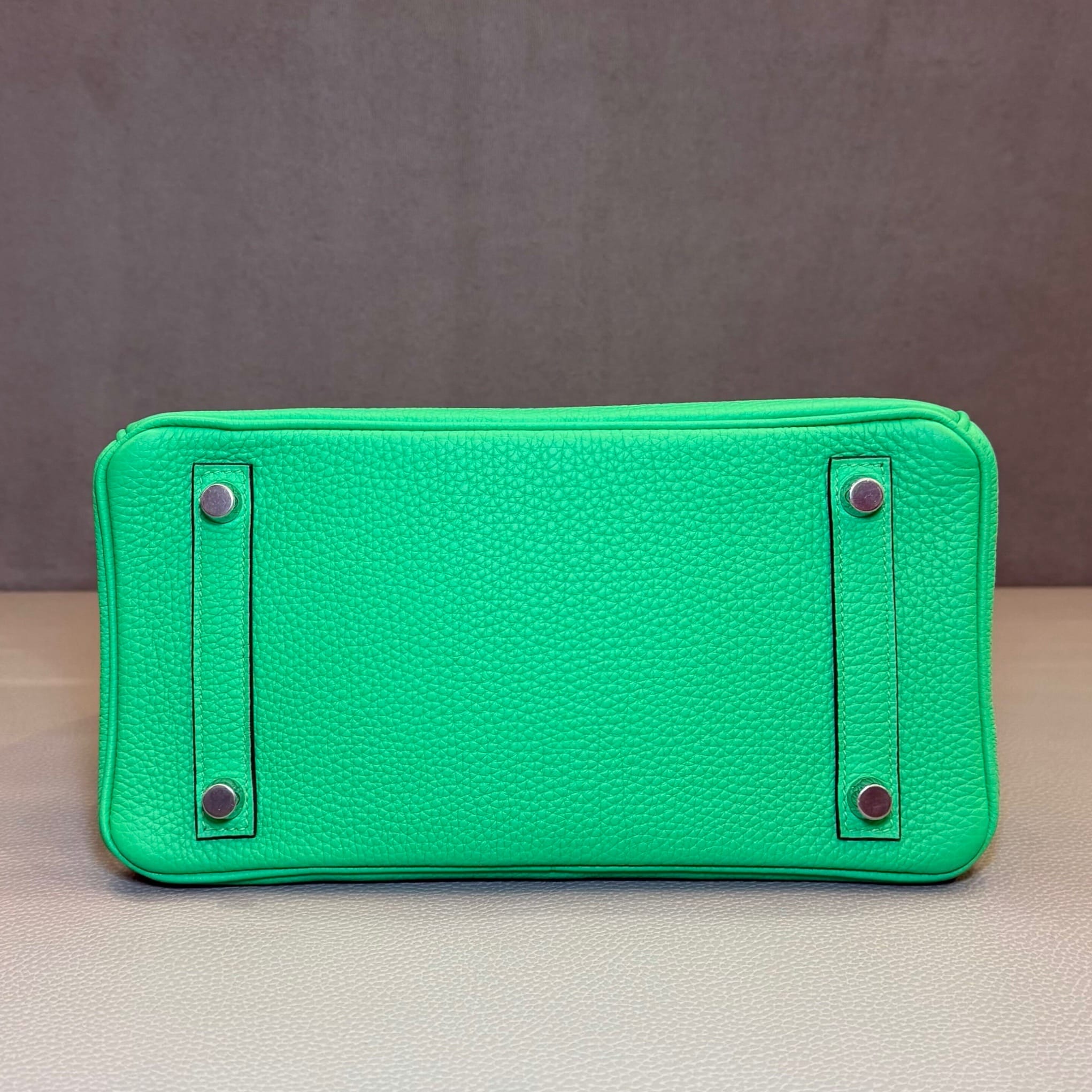 Hermès Vert Comics Birkin 25 Togo Matte Alligator Touch Palladium Hardware