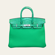 Hermès Vert Comics Birkin 25 Togo Matte Alligator Touch Palladium Hardware