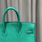 Hermès Vert Vertigo Birkin 25 Togo Palladium Hardware