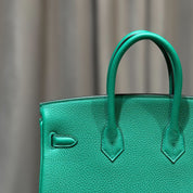 Hermès Vert Vertigo Birkin 25 Togo Palladium Hardware