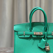 Hermès Vert Vertigo Birkin 25 Togo Palladium Hardware