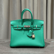 Hermès Vert Vertigo Birkin 25 Togo Palladium Hardware