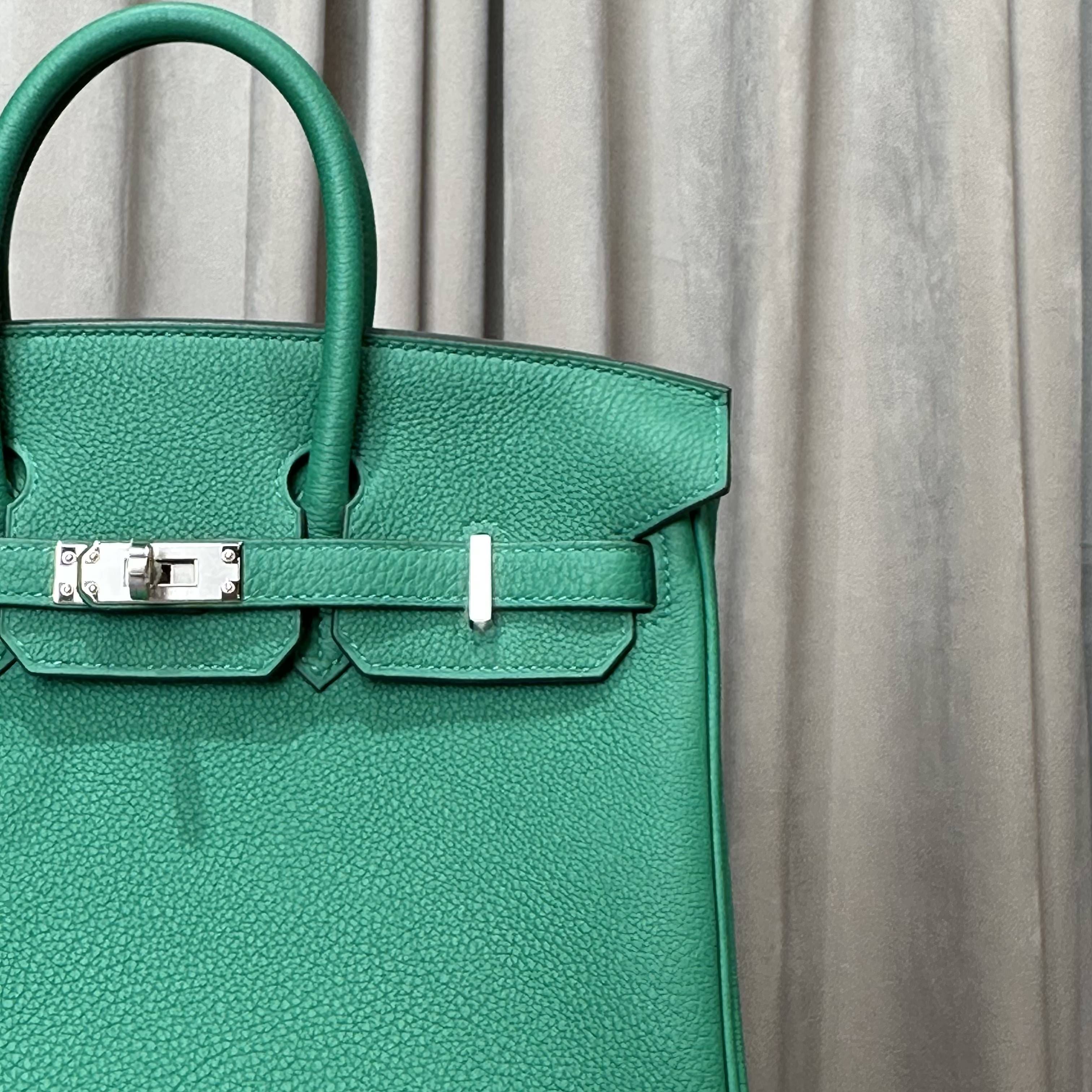 Hermès Vert Vertigo Birkin 25 Togo Palladium Hardware
