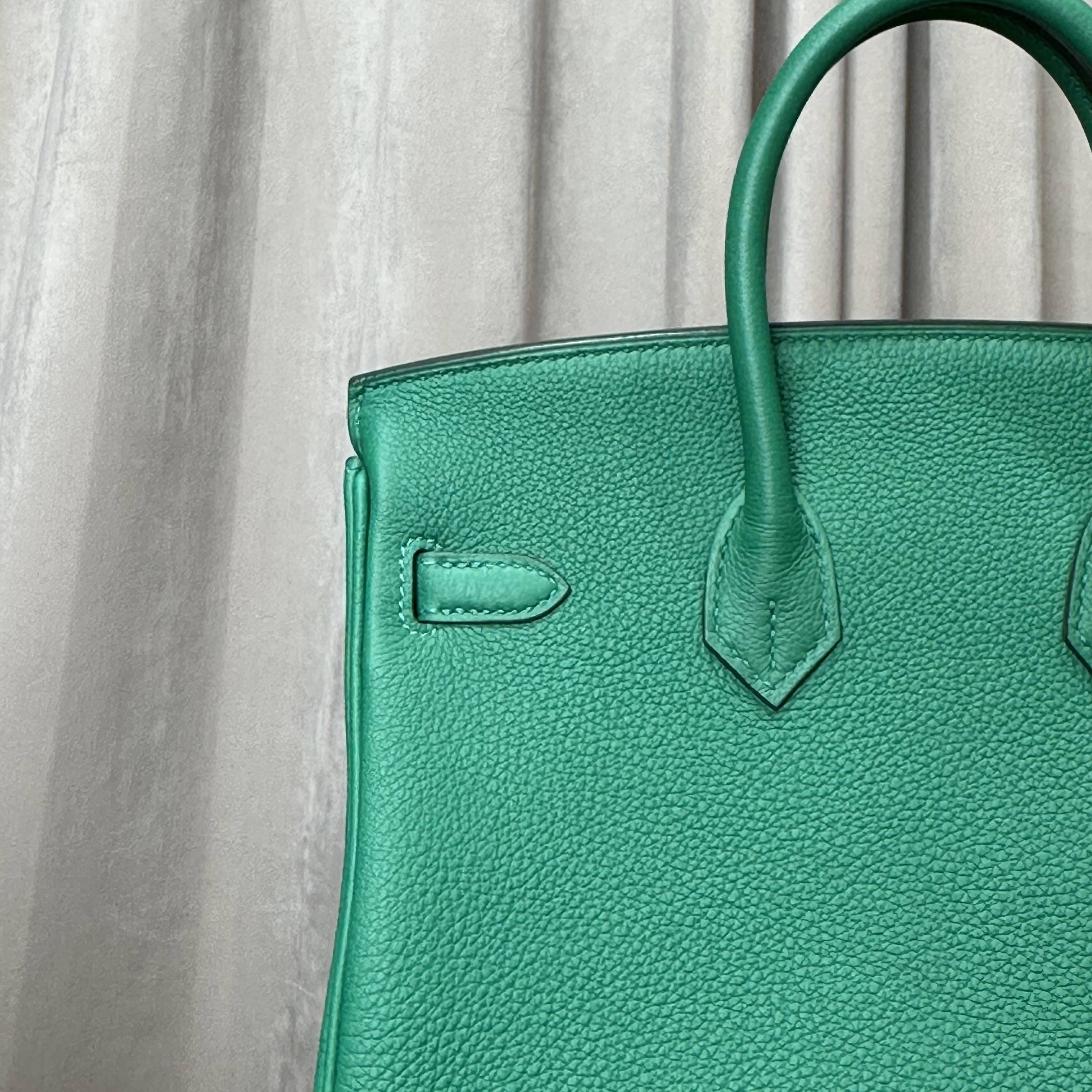 Hermès Vert Vertigo Birkin 25 Togo Palladium Hardware