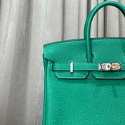 Hermès Vert Vertigo Birkin 25 Togo Palladium Hardware