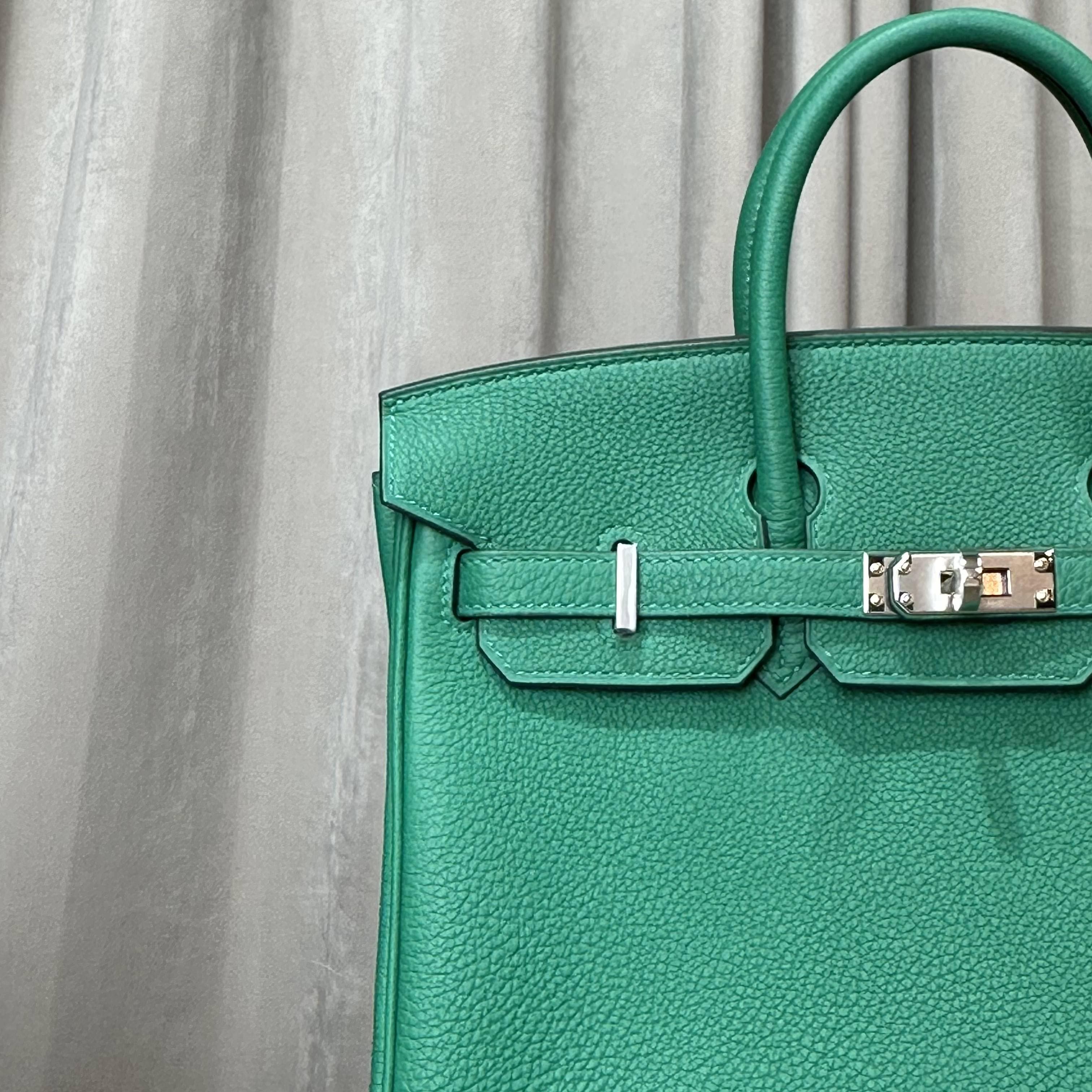 Hermès Vert Vertigo Birkin 25 Togo Palladium Hardware
