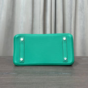 Hermès Vert Vertigo Birkin 25 Togo Palladium Hardware