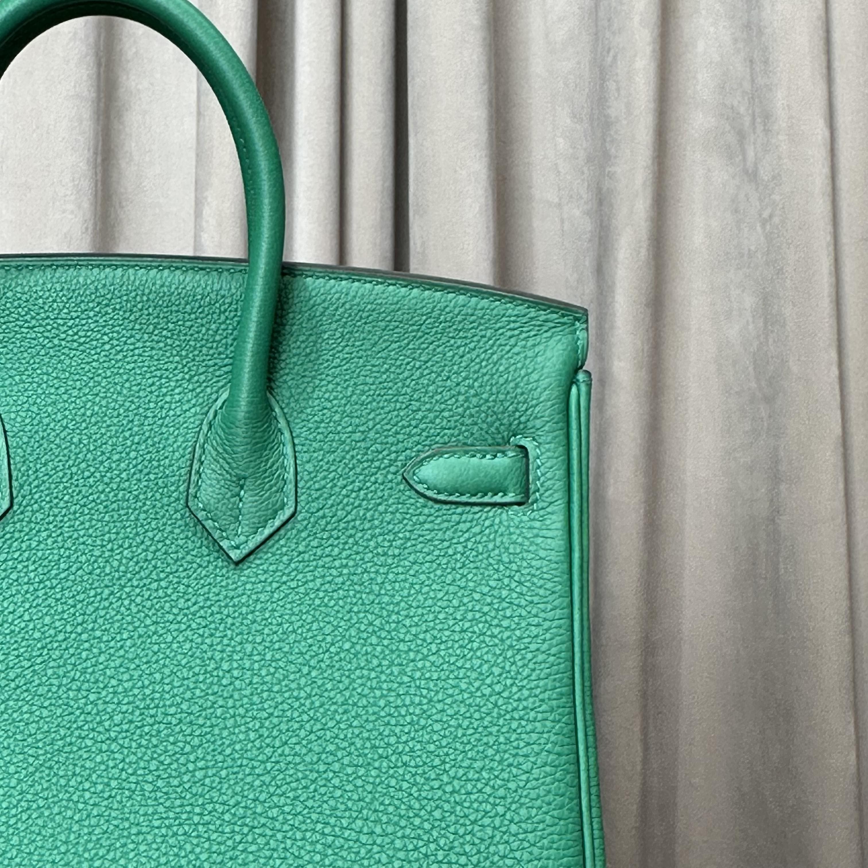 Hermès Vert Vertigo Birkin 25 Togo Palladium Hardware