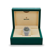 Rolex Datejust 36 126284RBR Stainless Steel Green Palm Frond Diamond Dial Diamond Bezel